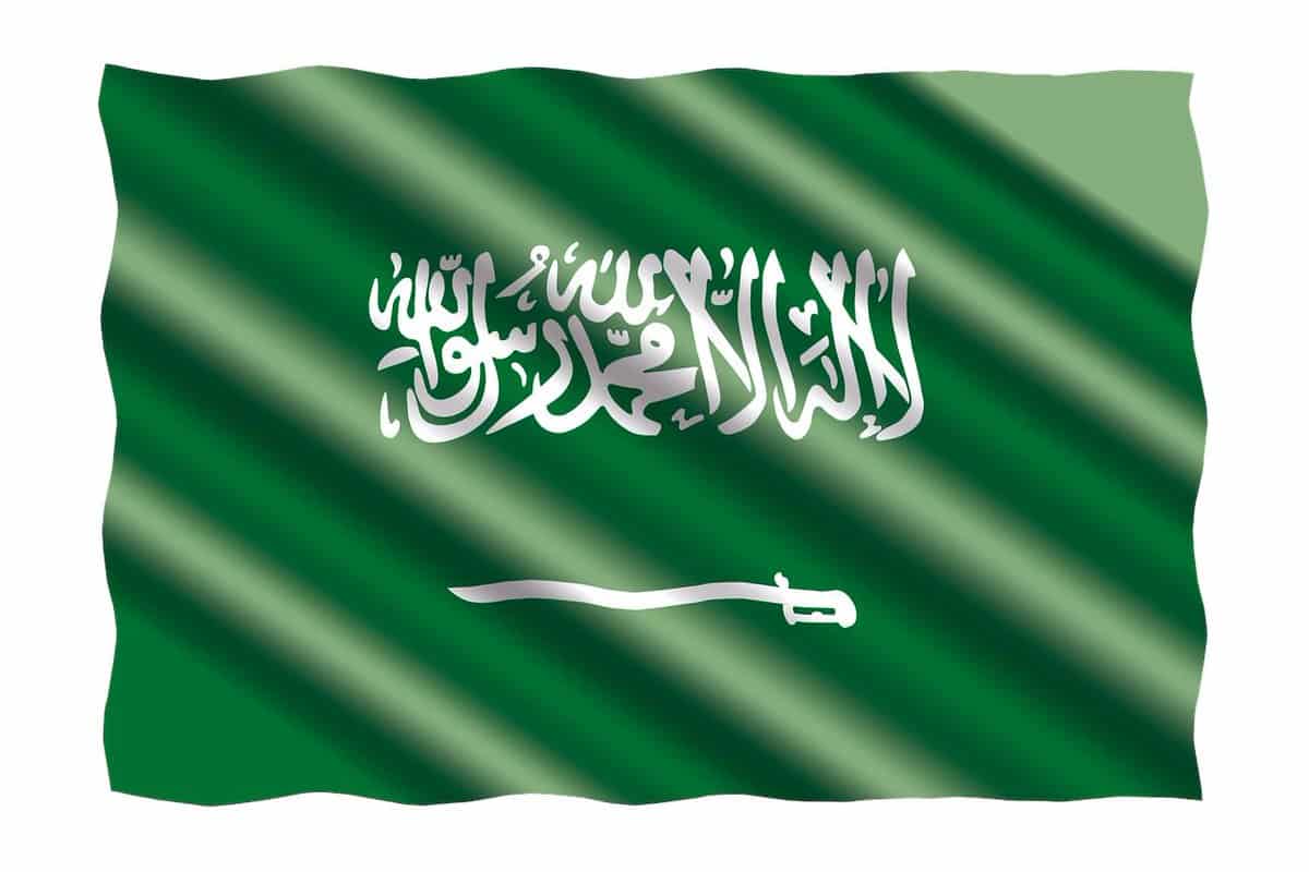 رسومات عن اليوم الوطني مجلة البرونزية