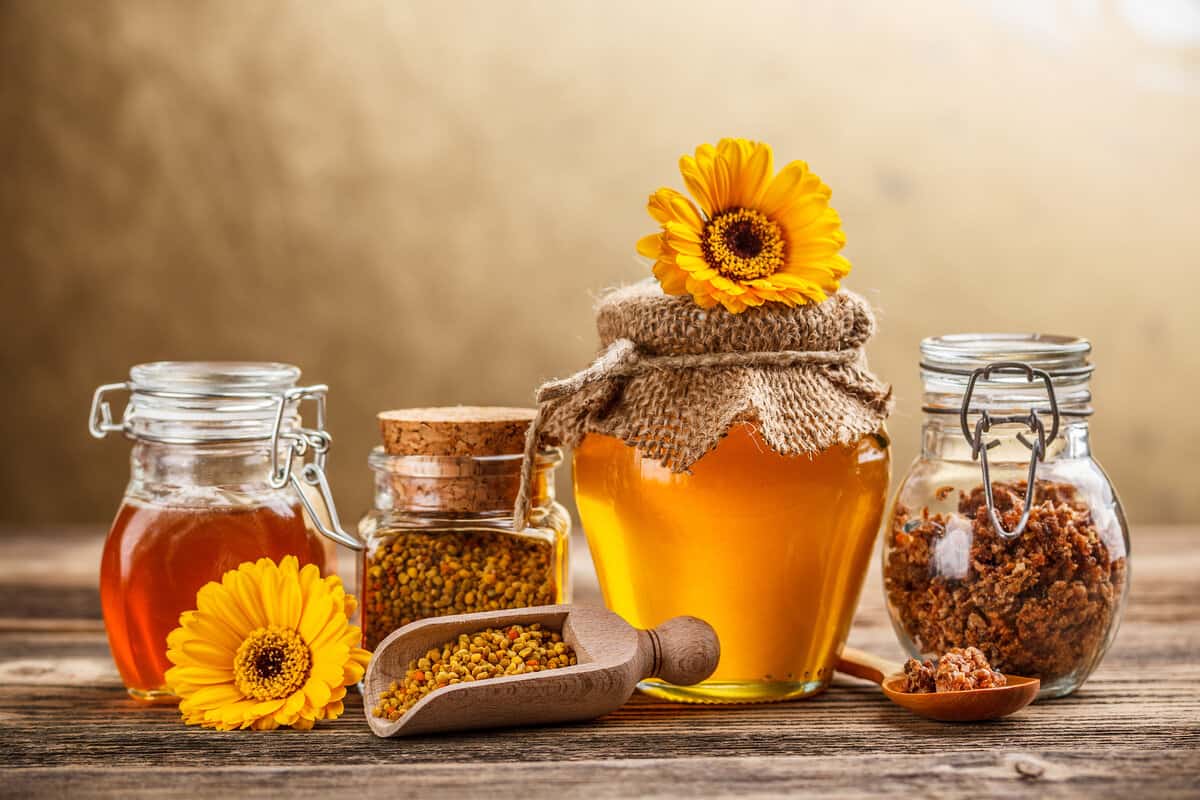 الكراك الدماغ إرسال  ايهما افضل عسل السدر والسمر وما هي الفوائد الصحية - شهد النحل