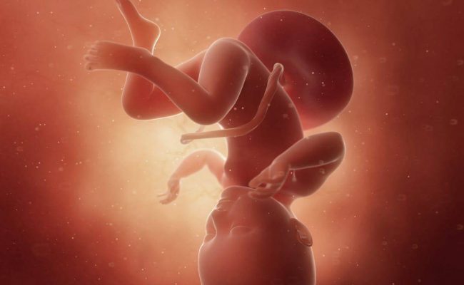 كيف تكون حركة الجنين في الشهر الثالث