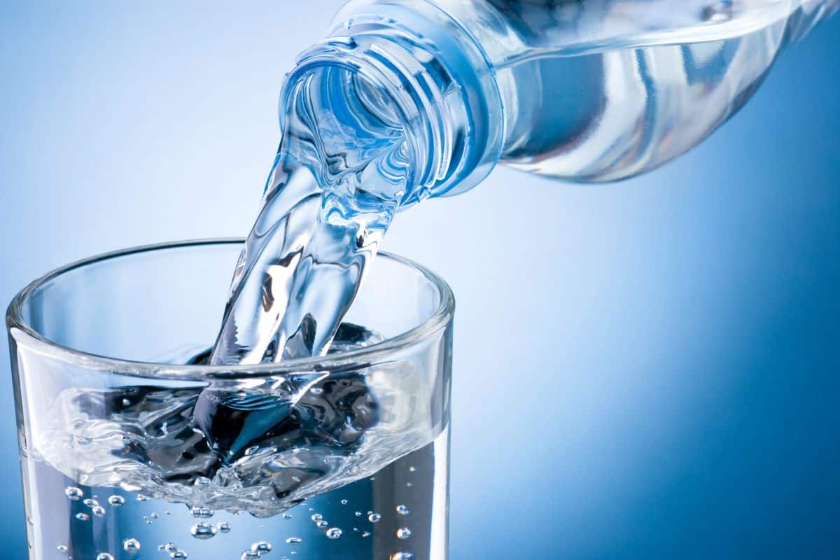 جوهريا غينيس رئيس  فوائد الماء المقطر | مجلة البرونزية