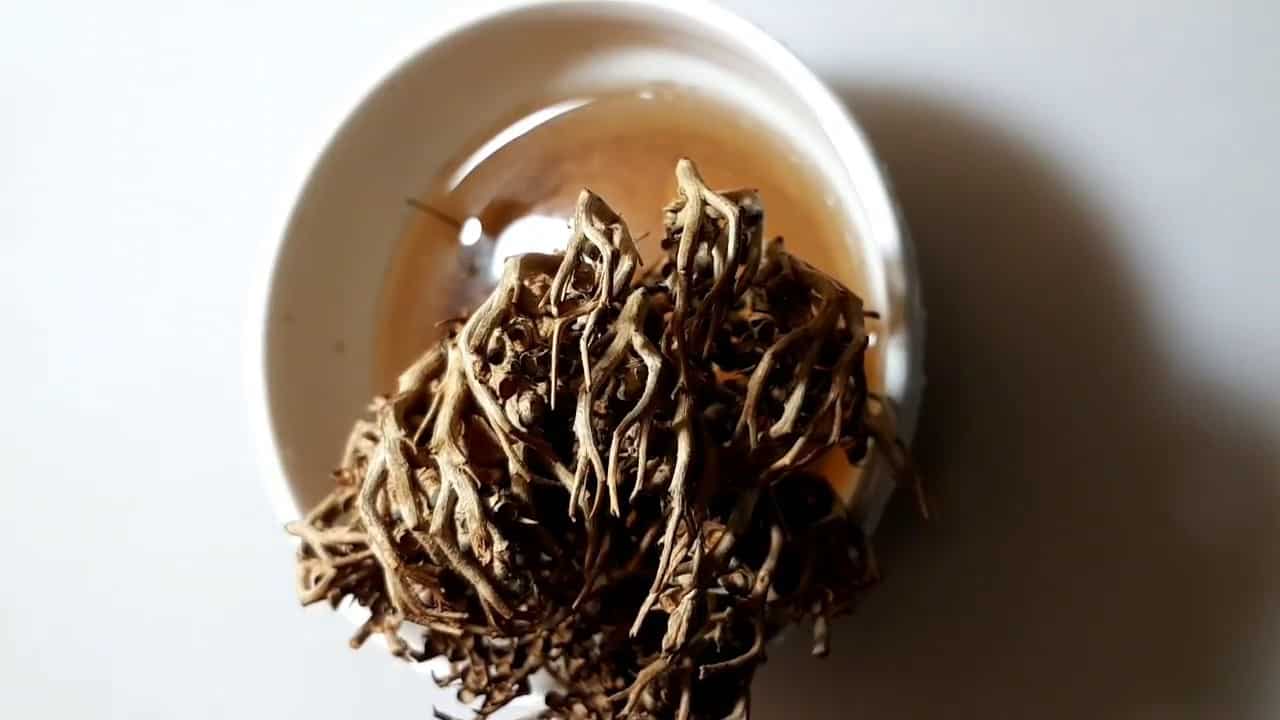 فوائد عشبة كف مريم للولادة مجلة البرونزية