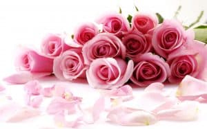 صور ورود صور ازهار وورود