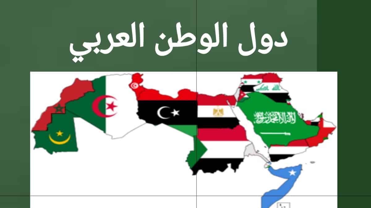 الترابط بين دول العالم العربي والاسلامي يخدم العالم اجمع