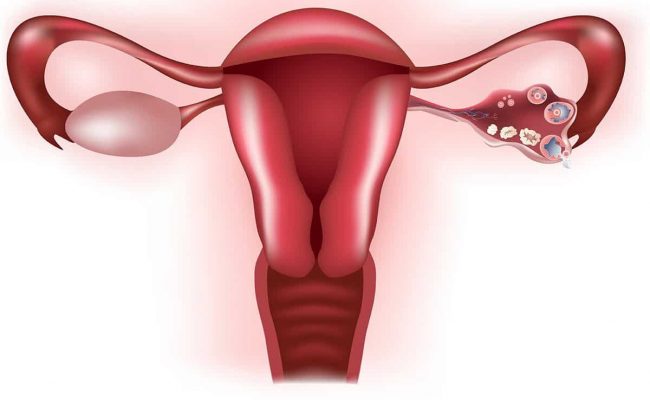 اسباب النبض في الرحم مجلة البرونزية