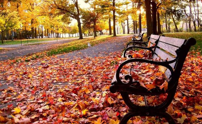 صور فصل الخريف متحركة خلفيات الخريف