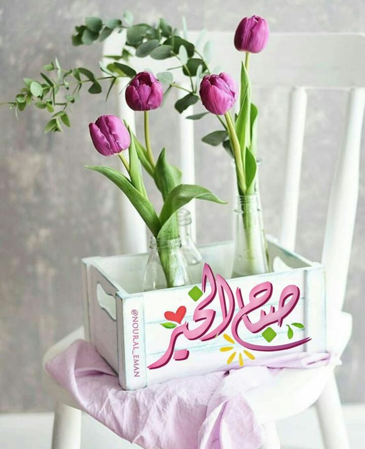 صور ورود الصباح صباح الورد صور ورد صباح مجلة البرونزية