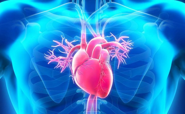 كم نسبة نجاح عملية قسطرة القلب