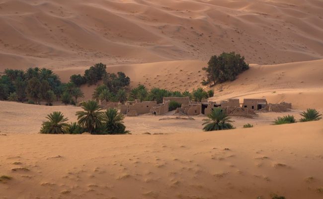 تزداد الكثافة السكانية في المناطق الصحراوية