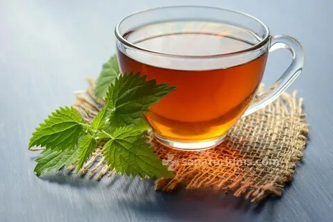 يفيد الشاي مع النعناع في بعض حالات المغص والاسهال حيث يعتبر مشروب الشاي من أكثر المشروبات