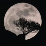 كلمات عن القمر والليل قصيرة