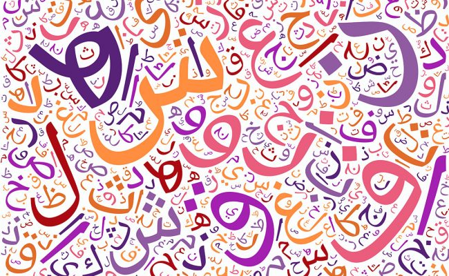 ما معنى كلمة الحاوي باللغة العربية