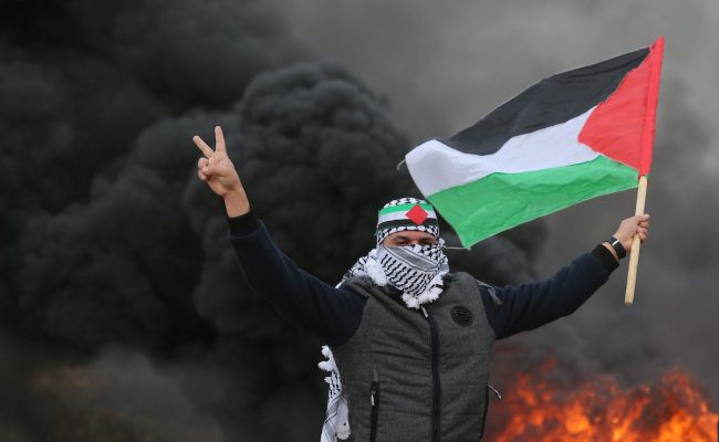 بحث عن قضية فلسطين
