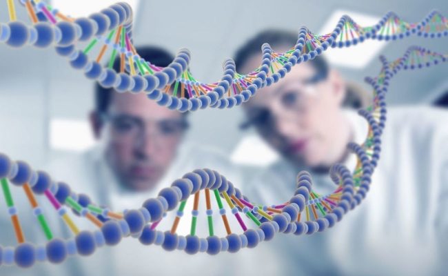 الصفات الوراثية عند الإنسان