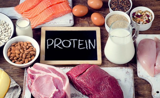 فوائد تناول البروتين تعويض الانسجة التالفة في الجسم