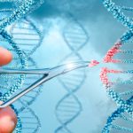 بحث عن الهندسة الوراثية وتطبيقاتها PDF