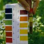 كيف يمكن قياس درجة حموضة التربة وتأثيرات الحموضة على التربة والنباتات